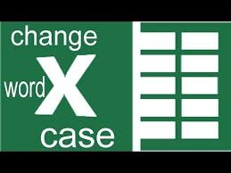 Change Case Add-Ins by Prof. Rashid Rizwi